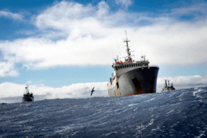 Renegade trawler, hunted for 10,000 miles by vigilantes, sinks