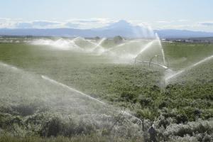 Alfafa and irrigation sprinkers near Bend, OR c/o George Wuerthner