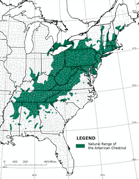 Natural Range of the American Chestnut c/o TACF