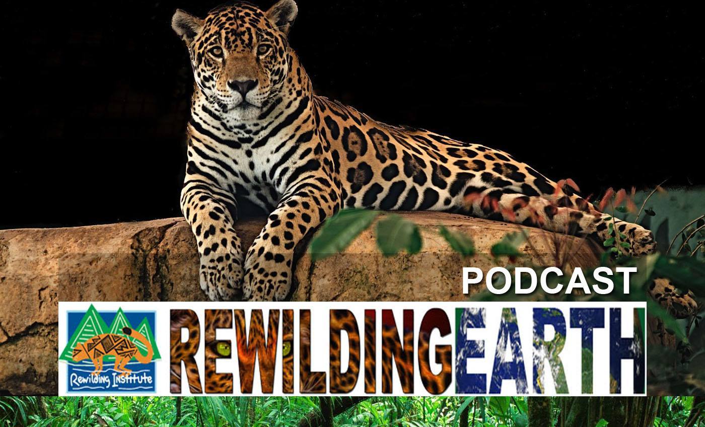 rewilding earth podcast
