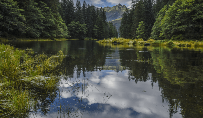 Tongass National Forest © Crossroads Photography