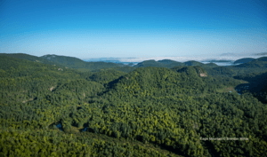 Eagle Mountain Success – A century-old tradition continues in New York’s Adirondack Park to solve the ecological crises of today and give us hope.