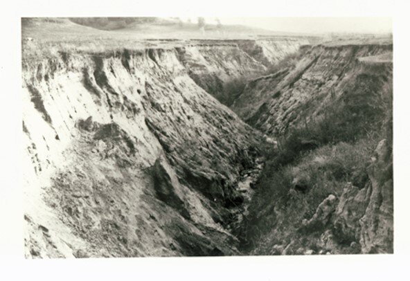 Erosion trench, northern Shenandoah Valley, courtesy of George Washington National Forest