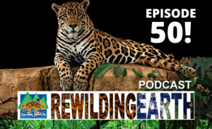 rewilding earth podcast 50th episode