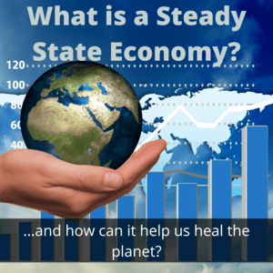 what is a steady state economy