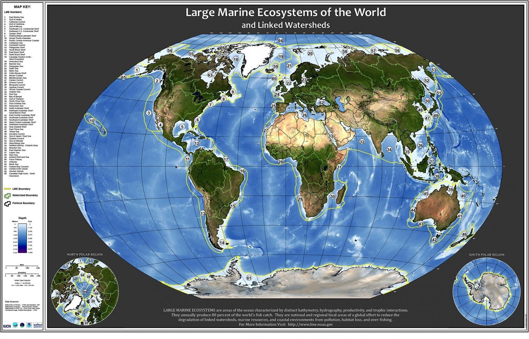 NOAA Large Marine Ecosystems World Map