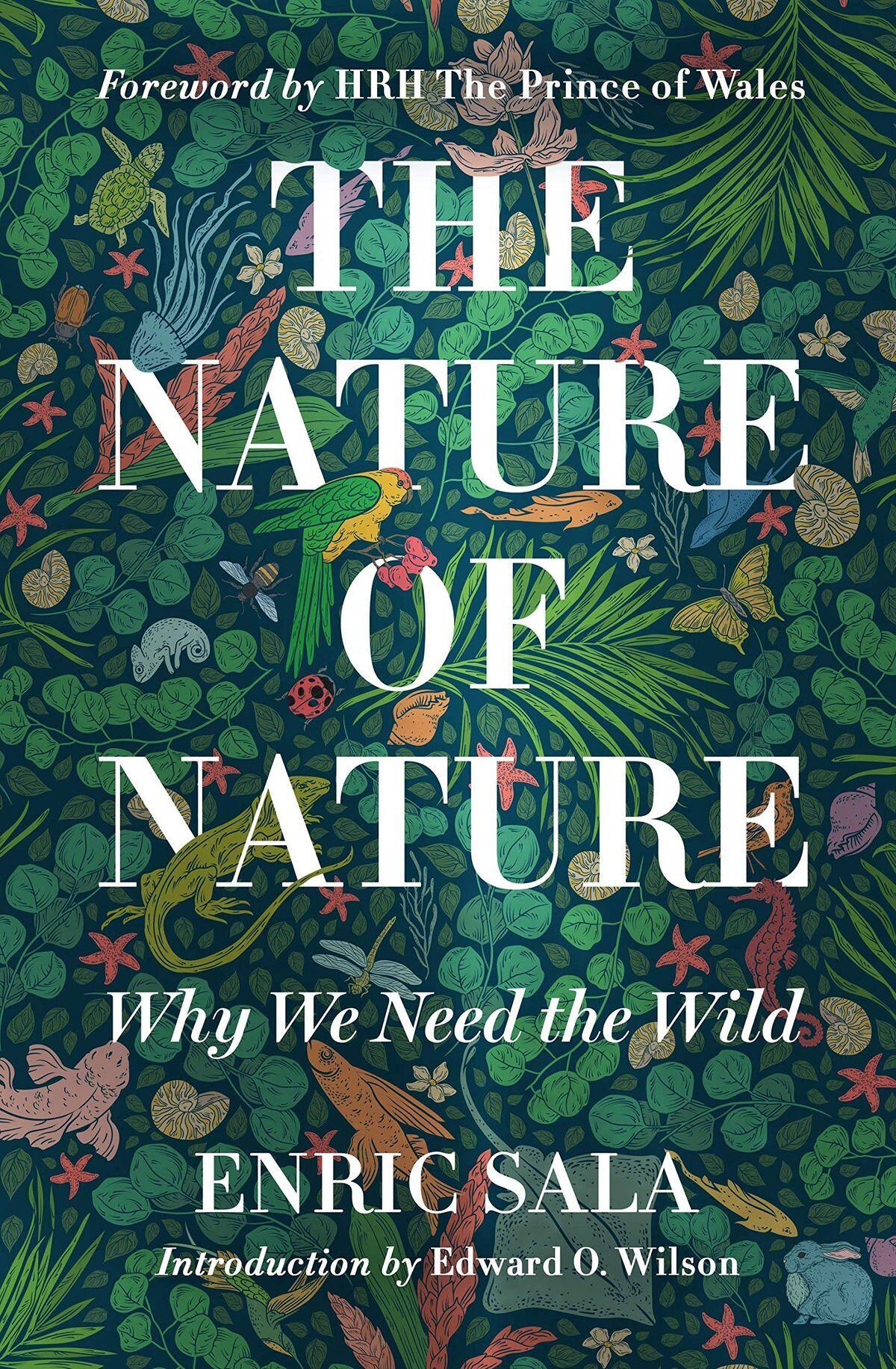 The Nature of Nature (cover)