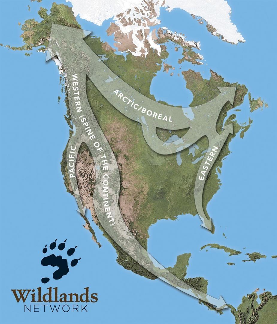 Wildlands Network Wildways Map