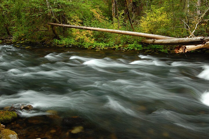 Portions of the Oak Grove Fork of the Clackamas River would be added to the Clackamas Wild and Scenic River. Source: Cheryl Hill.