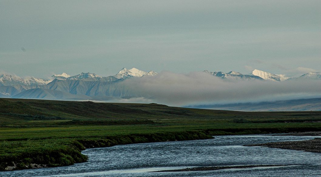 Brooks Range and Canning River from Arctic Plain, Arctic National Wildlife Refuge. © Dave Foreman