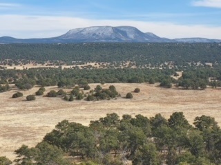 Escudilla Mountain rises above the landscape and dominates the views in northern Arizona. (Photo George Wuerthner)