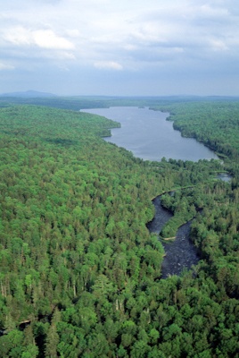 The Maine Woods contains numerous lakes and rivers seen here near the headwaters of the Allagash River and some of the least inhabited lands east of the Mississippi. Photo George Wuerthner
