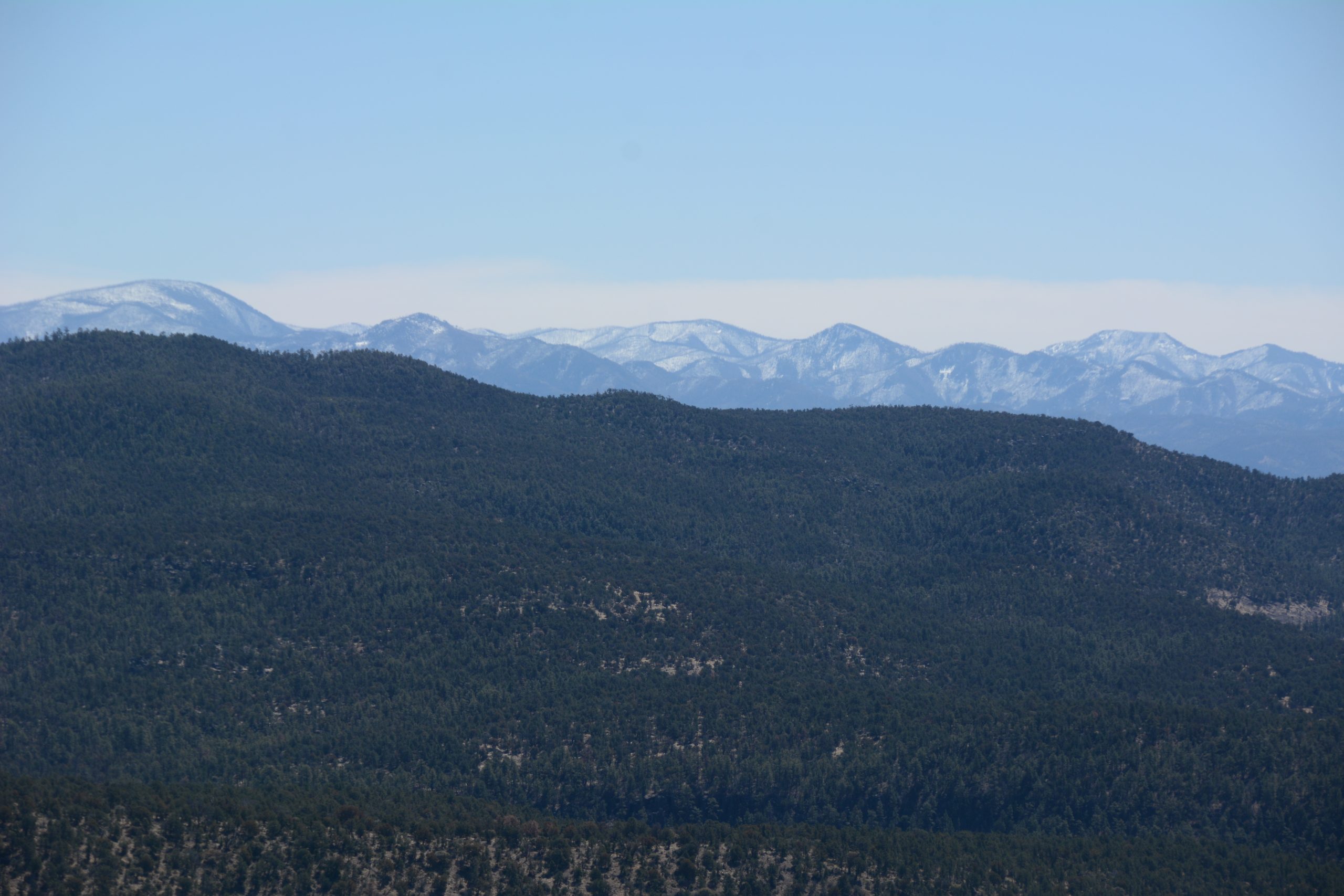 Looking across the Blue Range Wilderness towards the snow-capped mountains within the Gila Wilderness. (Photo George Wuerthner)