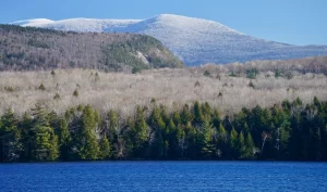 Submit a comment to protect Lake Tarleton and the Appalachian Trail!
