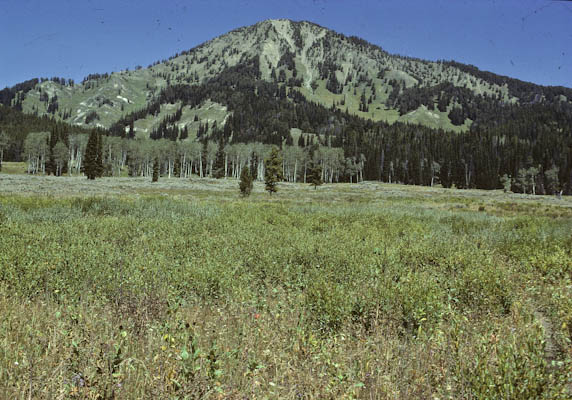 Mount Leidy, Bridger Teton NF, Wyoming