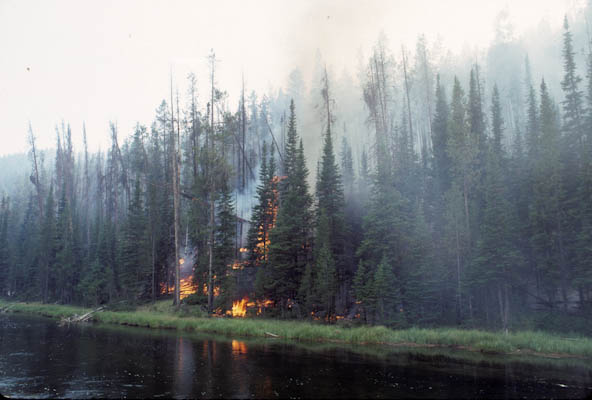 North Fork fire along Firehole River, Aug 1998, Yellowstone NP, WY.