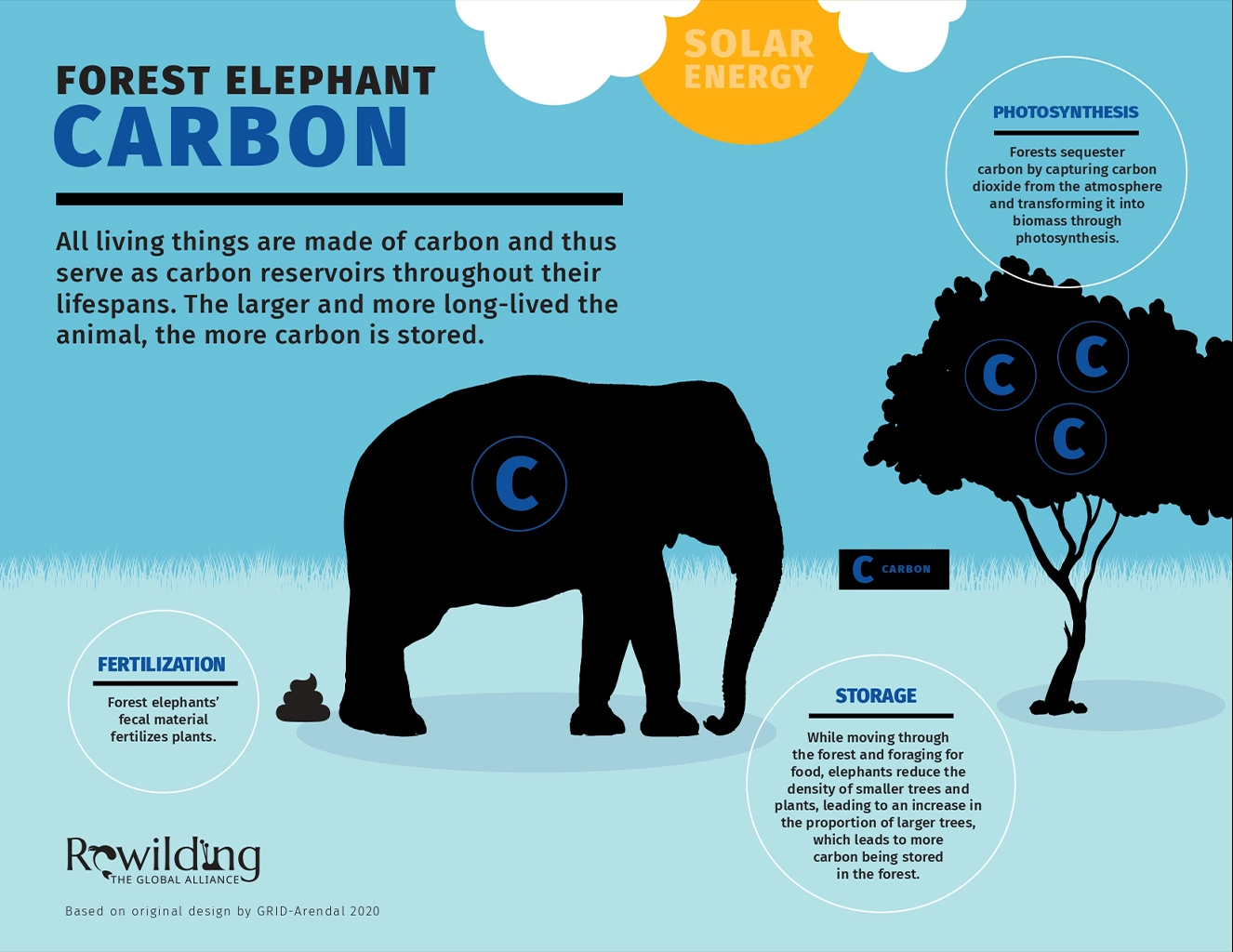 3-GRA-elephant-Infographic