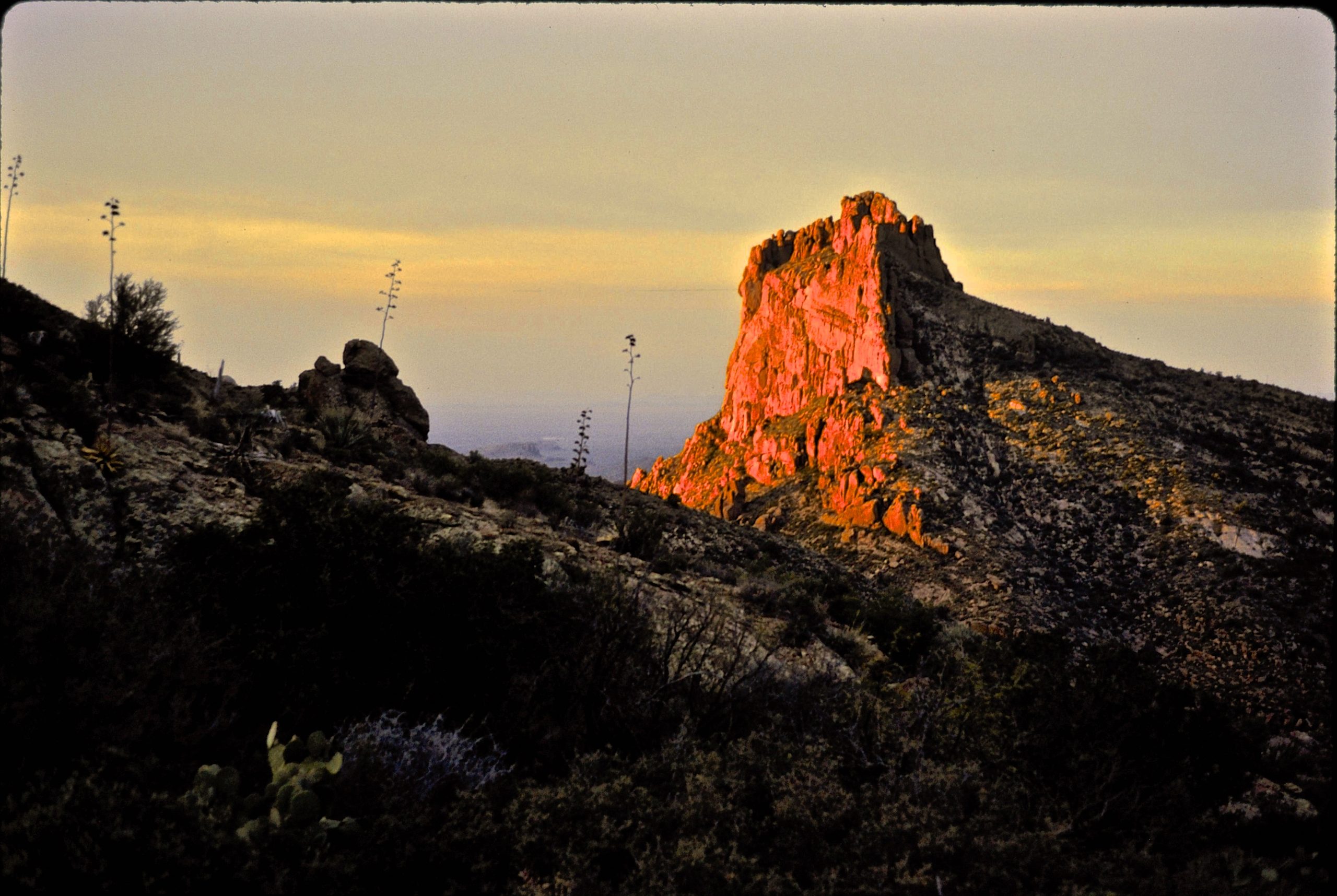 Dawn light on Superstition Mountains Wilderness Area, AZ (c) Dave Foreman
