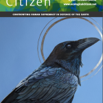 The Ecological Citizen Vol. 6 No. 1 2023