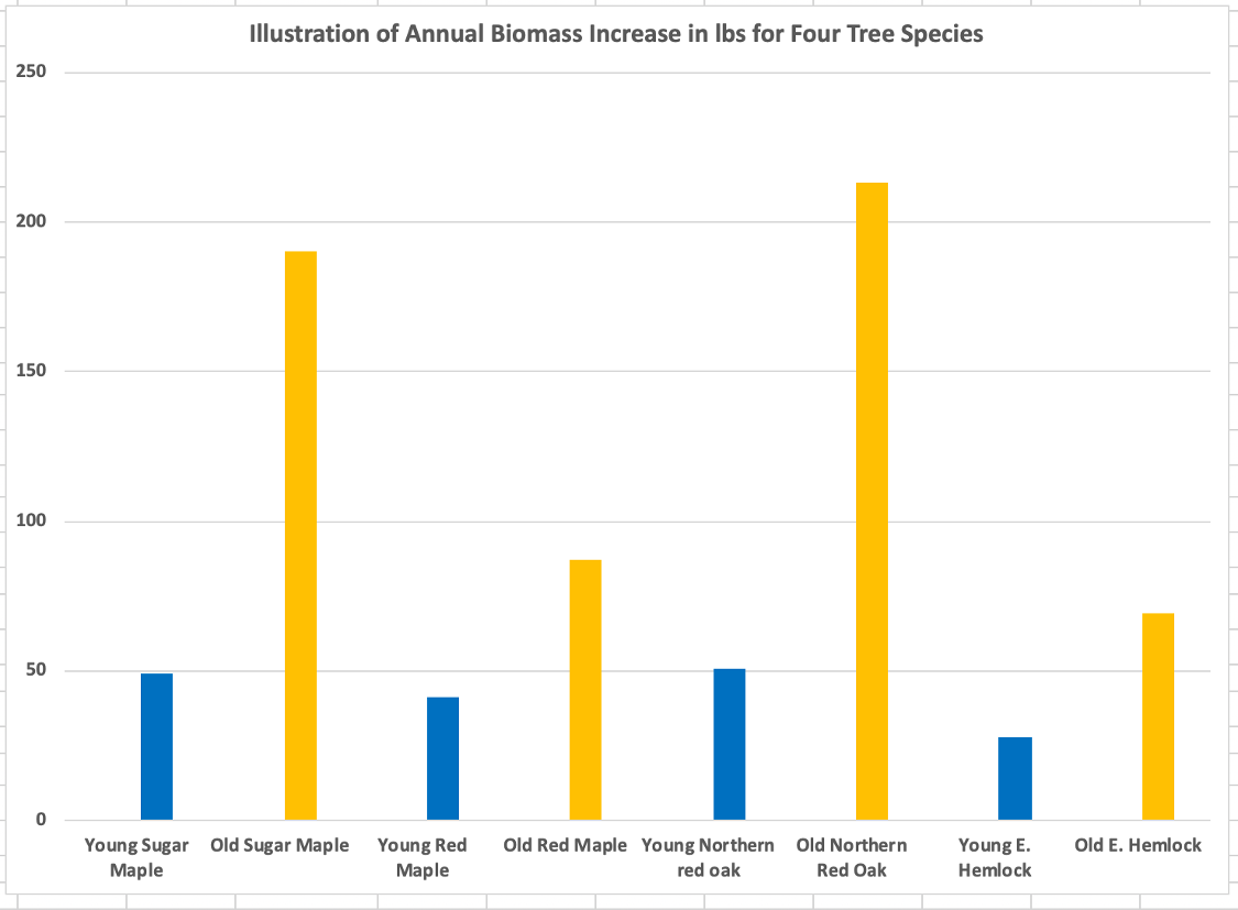 Illustration of Annual Biomass Increase in lbs in Four Tree Species (Graph)