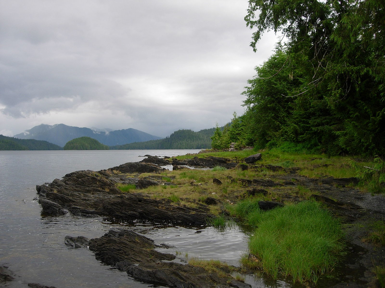 Tongass National Forest near Ketchikan, Alaska (Source: Wikipedia)