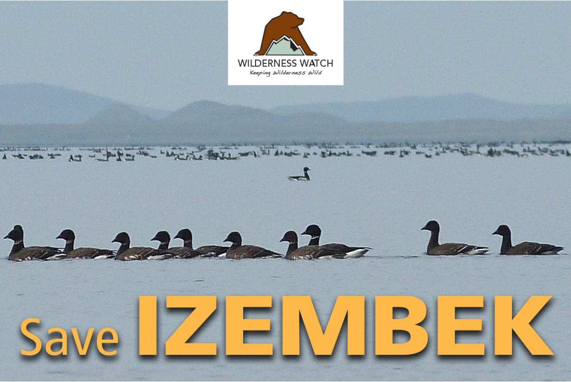 Save the Izembek Wilderness - Banner