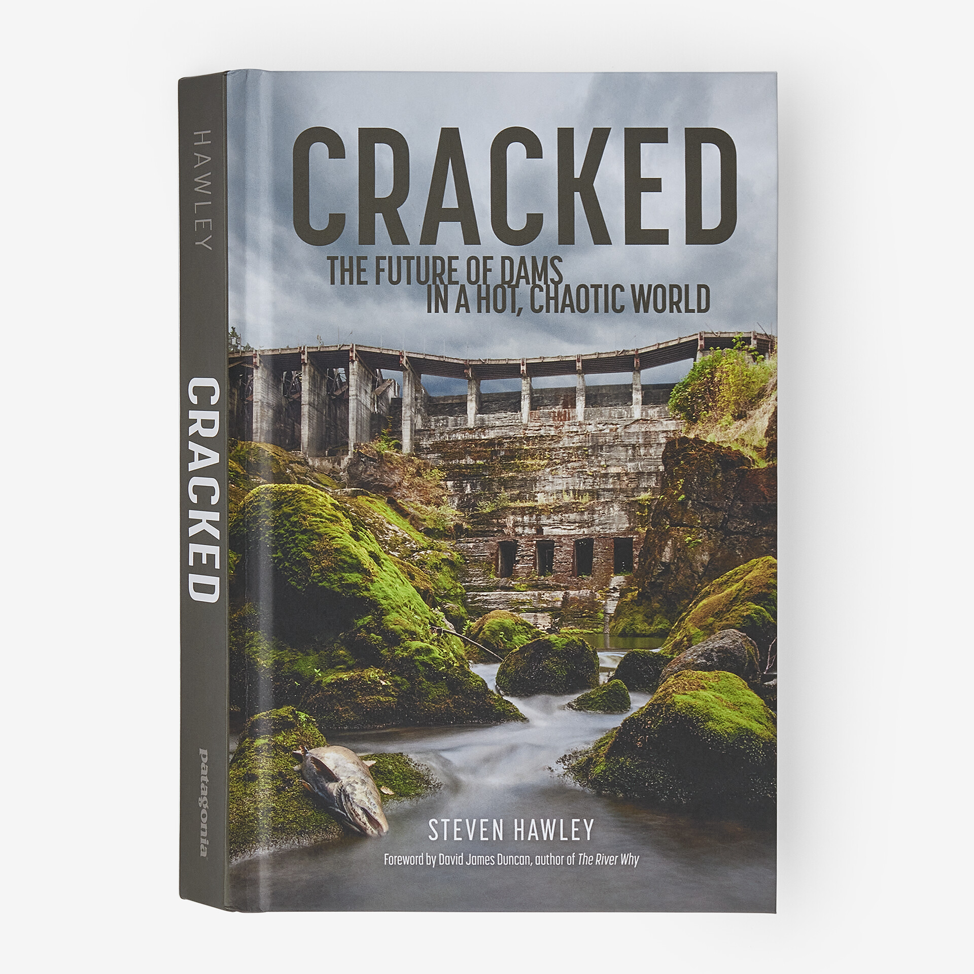 Steven Hawley, Cracked: The Future of Dams in a Hot, Chaotic World. Ventura, CA: Patagonia Books, 2023.