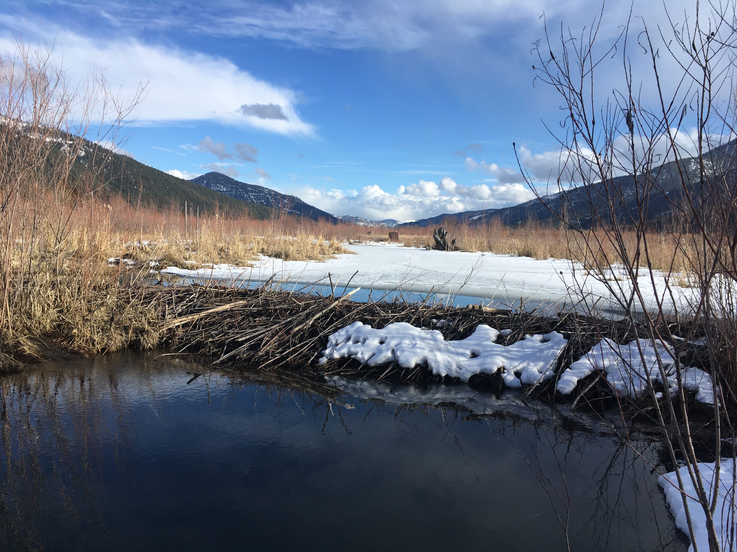 In the recovering floodplain of the Clark Fork River, the makers, methods, and materials of this dam offer hope for the next century, and beyond. (Photo Credit: Rob Rich)