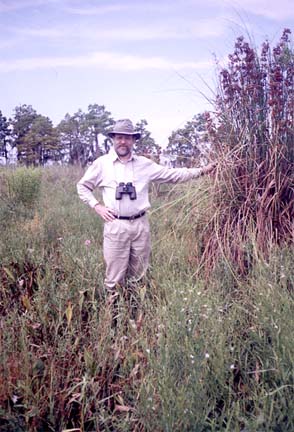 Dr. Paul Keddy has studied wetlands for 50 years. The focus of his research has been finding the most important causal factors that create wetlands. This wetland, in coastal Louisiana, has a handful of causal factors: a high water table, low levels of nutrients, and low levels of salinity.