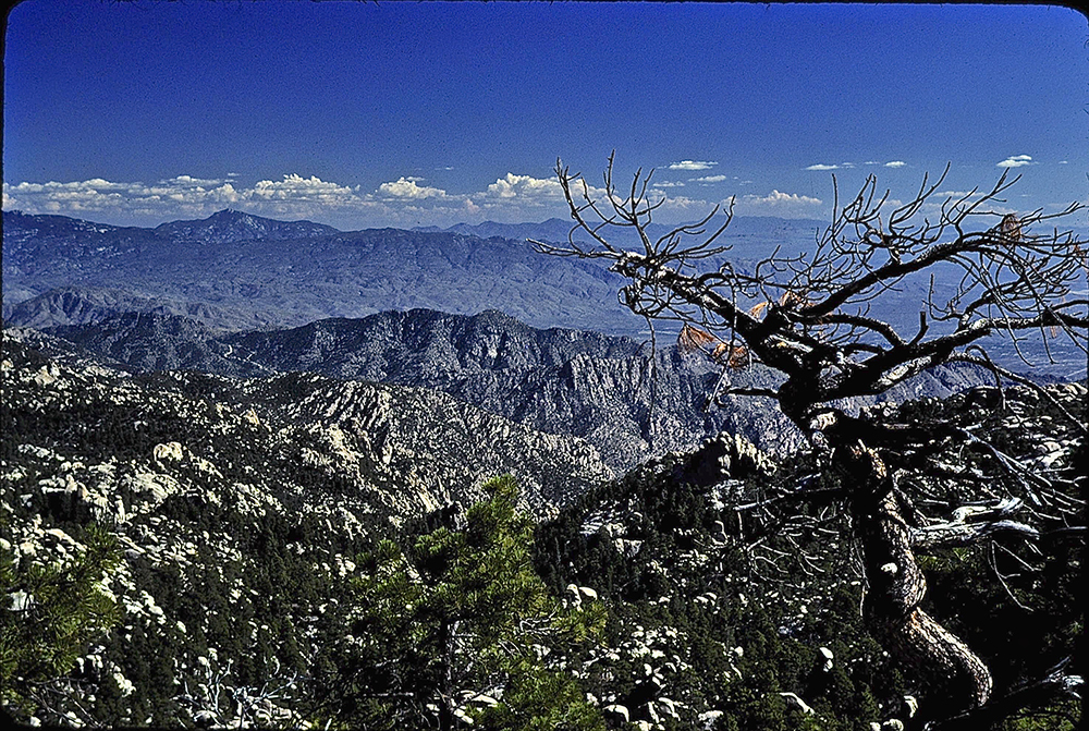 Pusch Ridge Wilderness Area, Catalina Mts, Arizona © Dave Foreman