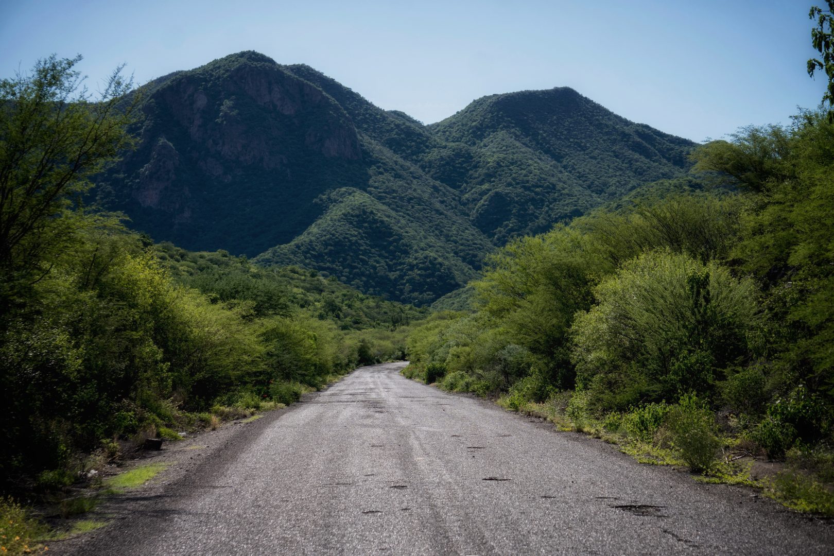 Photo by Mario Tarragó