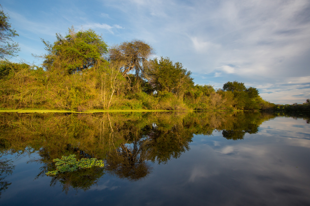 Laguna Breal - El Impenetrable © Hernán Povedano-Fundación Rewilding Argentina