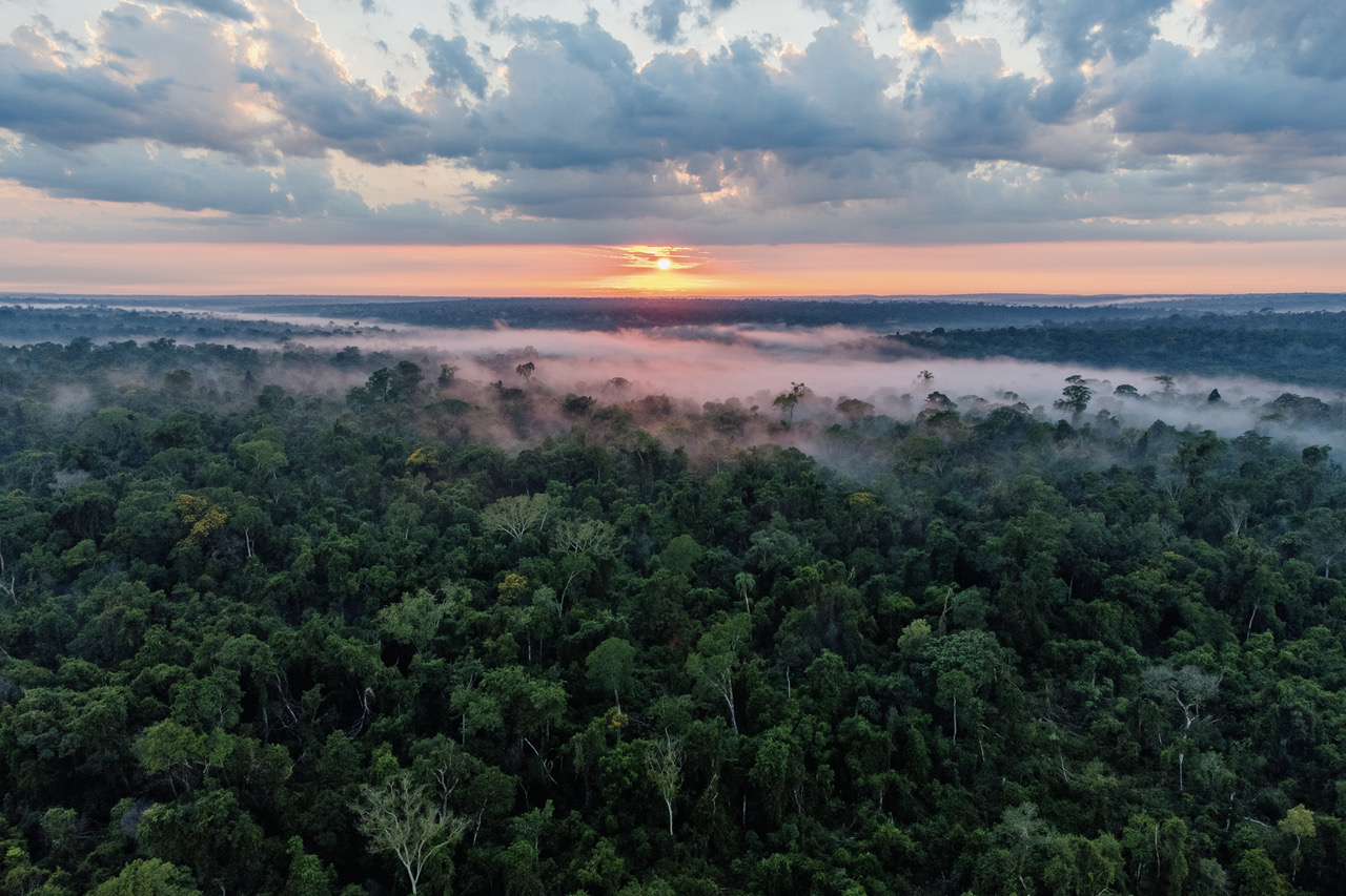 Reserva Natural del Bosque Mbaracayú (RNBM) © Fundación Moisés Bertoni