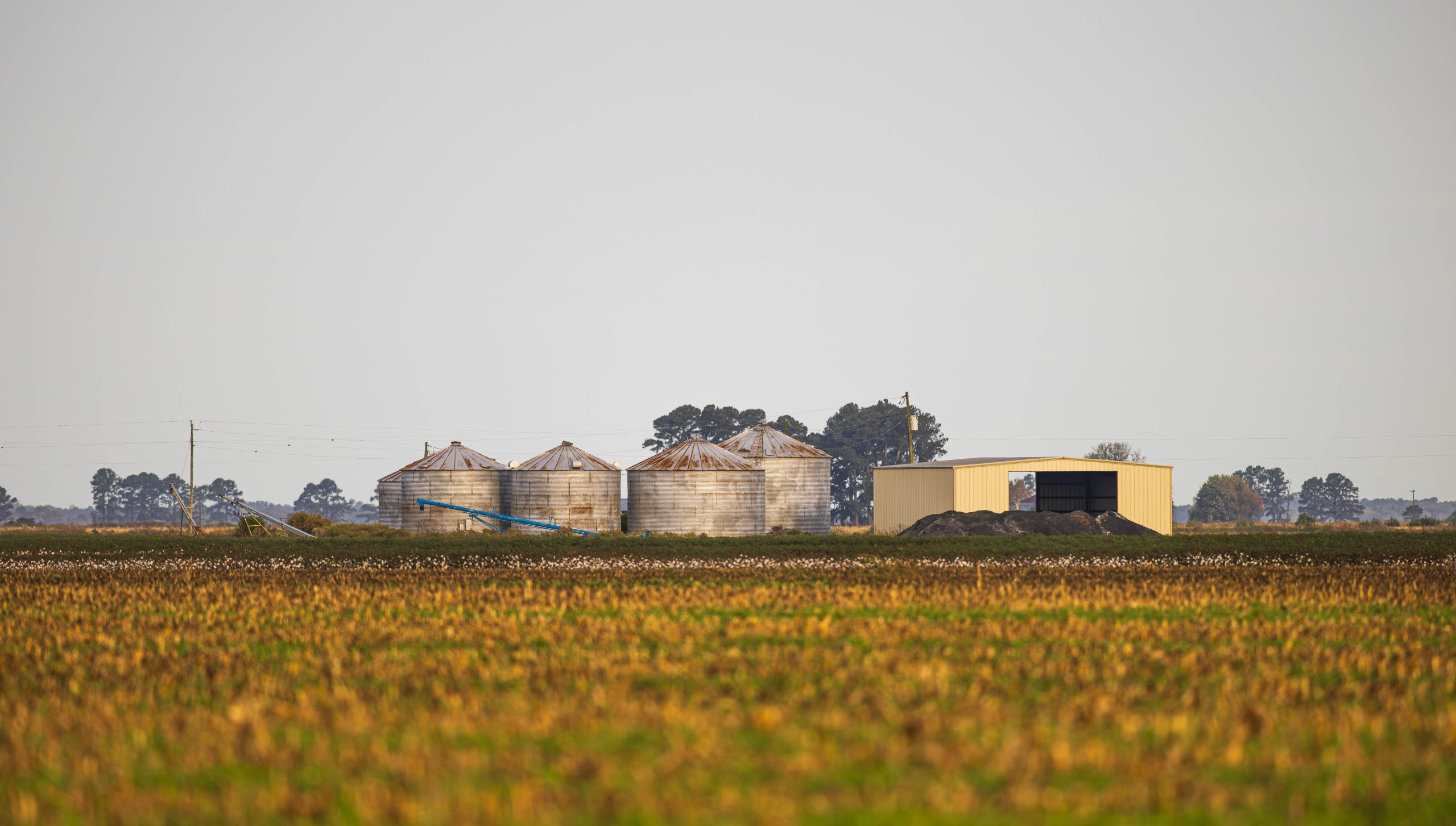 Farm near Creswell by Eric Trefney