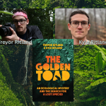 The Golden Toad by Trevor and Kyle Ritland