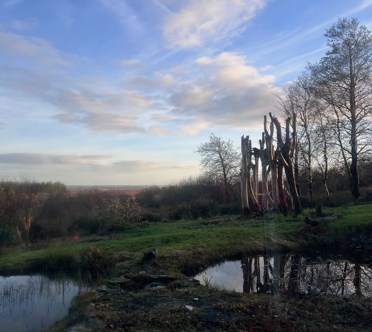 Photo by Jeanne Marie Mudd