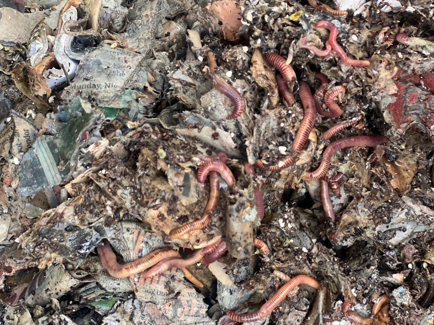 Photo by Jeanne Marie Mudd