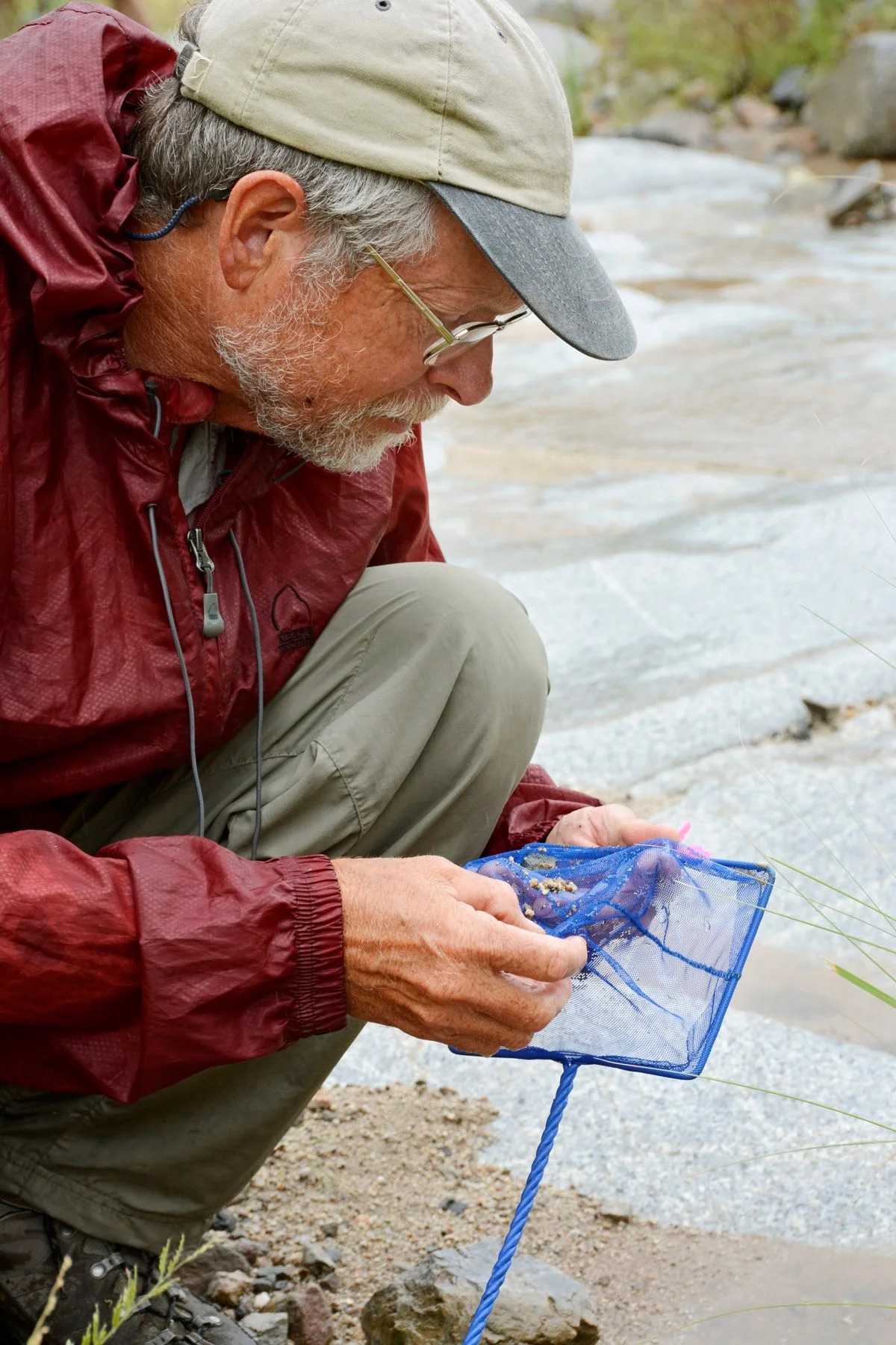 Larry Stevens, Director, Spring Stewardship Institute