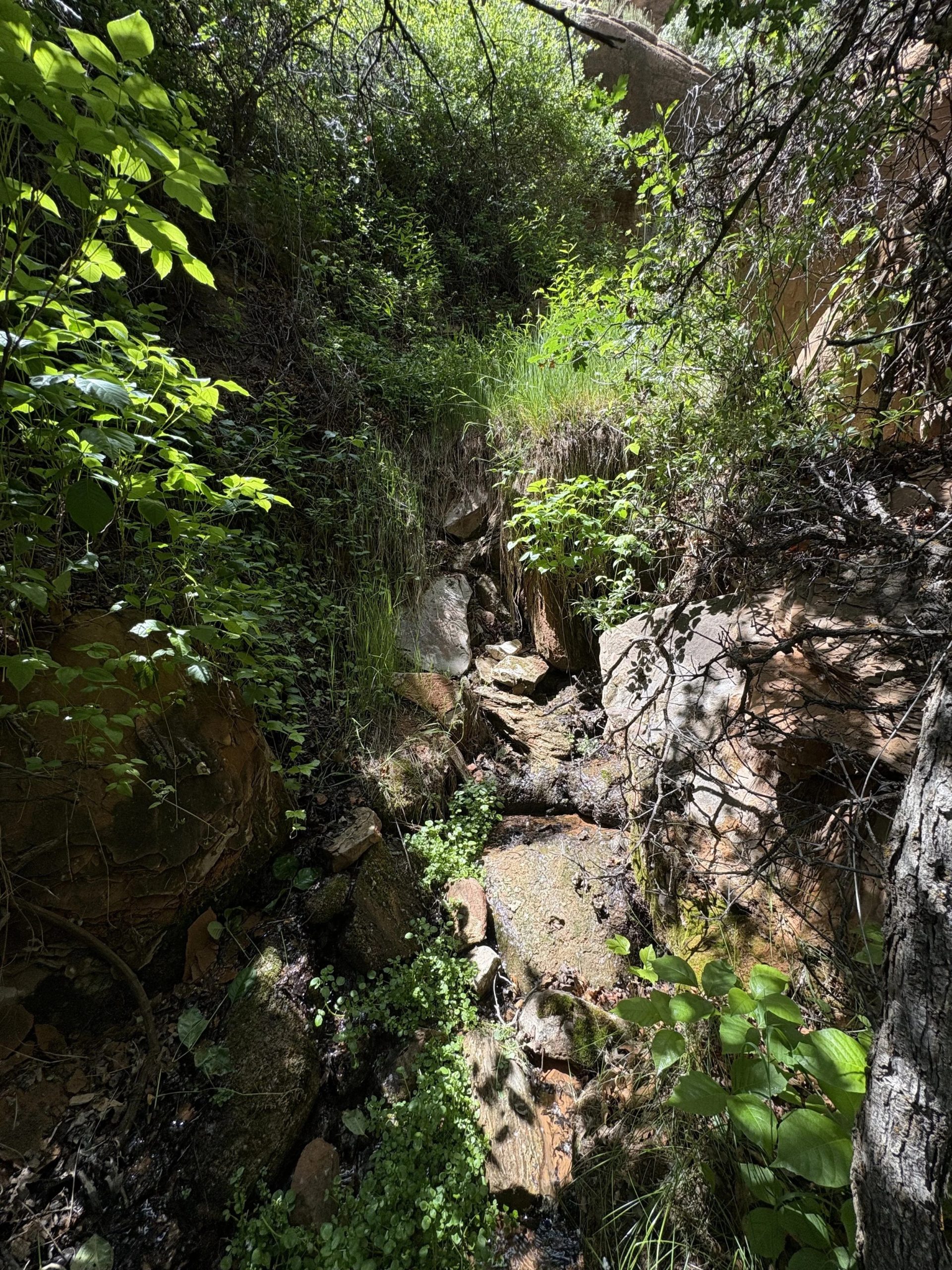 Spring Photo provided by Spring Stewardship Institute